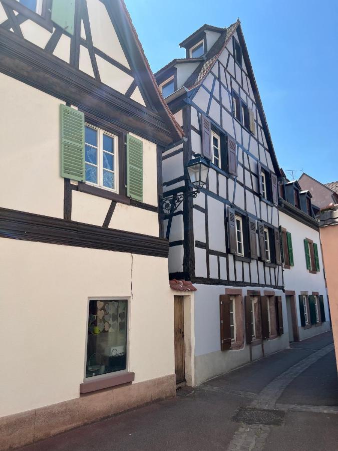 La Maison Du Batelier - Quartier Historique Petite Venise 科尔马 外观 照片